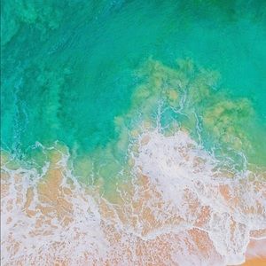 Meet your Posher, Luis